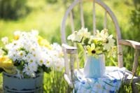 How to care for your garden in the summer
